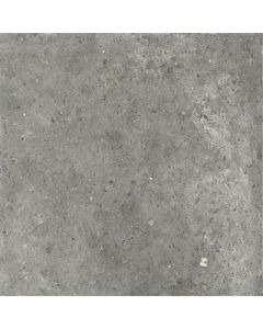 Ariana Anima Fango 60x60 (R)