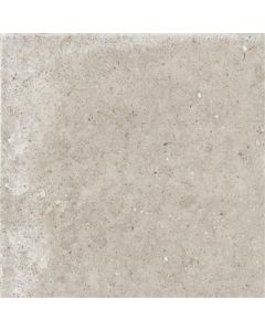 Ariana Anima Beige 60x60 (R)