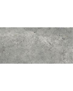 Ariana Anima Grigio 30x60 (R)
