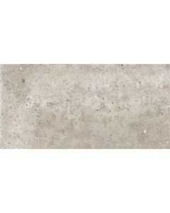 Ariana Anima Beige 30x60 (R)