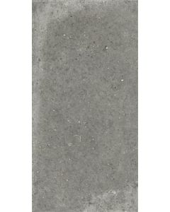 Ariana Anima Fango 60x120 (R)
