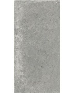 Ariana Anima Grigio 60x120 (R)