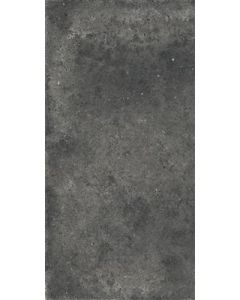 Ariana Anima Fumo 60x120 (R)