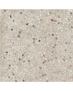 Ariana Anima Ghiaia Beige 60x60 (R)