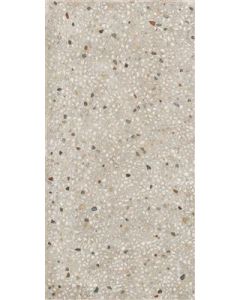 Ariana Anima Ghiaia Beige 60x120 (R)