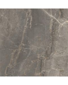 Cerdomus Sybil Silver Matt 60x60 (R)