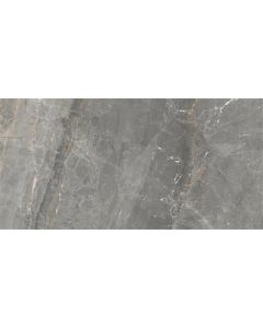 Cerdomus Sybil Silver Polished 30x60 (R)