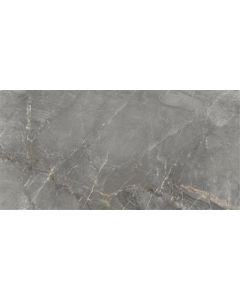 Cerdomus Sybil Silver Polished 60x120 (R)