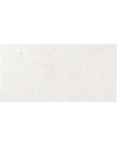 Ecoceramic Bogey White 60x120 (R)