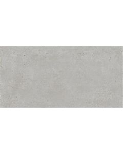 Ecoceramic Bogey Silver 60x120 (R)