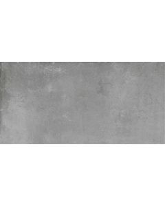 Ecoceramic Cloud Silver 60x120 (R)