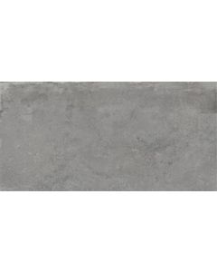Ecoceramic Sonar Grey 60x120 (R)