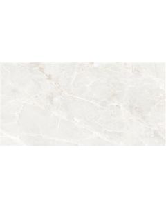 Ecoceramic Brasilia White Polished 60x120 (R)