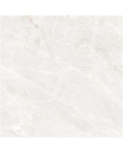 Ecoceramic Brasilia White Mate 120x120 (R)