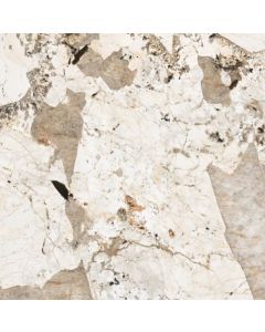 Florim Nature Mood 120x120 Tundra Gloss 6m