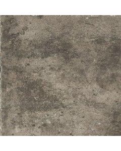 Rex La Roche 60x60 Mud