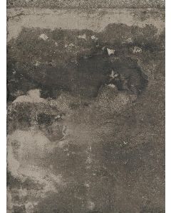 Rex La Roche 40x80 Mud