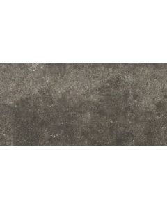 Rex La Roche 60x120 Mud