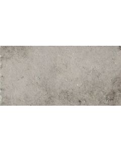 Rex La Roche 60x120 Grey