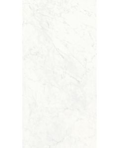 Florim Stontech Stone 1 High Glossy 120X240 6mm