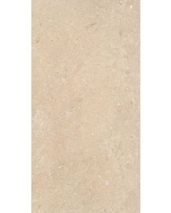 Florim Authentic Stone 60x120cm Leather