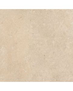 Florim Authentic Stone 120x120cm Leather