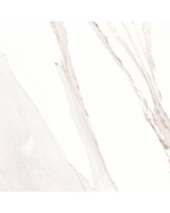 Caesar Anima 60x60 Calacatta Oro Luc.rect.