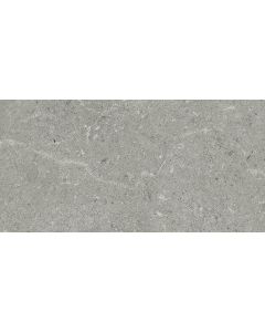 Panaria Surround 30x60x0,9cm Grijs mat PBBSD20