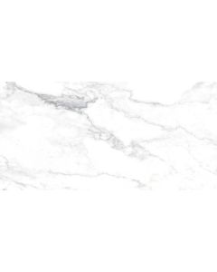 Rondine Canova 60x120cm Wit Mat (J88476)