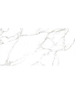 Rondine Canova 60x120cm Wit Mat (J88474)