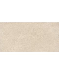 Rondine Lutezia 60x120x0,9cm Grijs mat J93334
