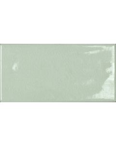 Tonalite Briolette Olivite 10x20