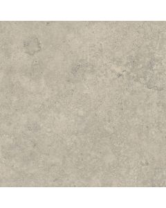 Verde Jurassic 120x120cm Grijs mat 1005377