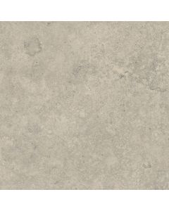 Verde Jurassic 60x60x0,9cm Grijs mat 1005339