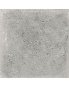 Vives World Streets Orchard Cemento 20x20