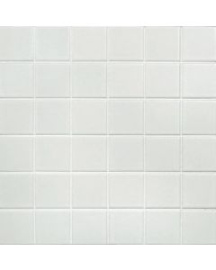 Aquacolor Porcelai 30x30cm Wit Mat (ACP06WHM4848)