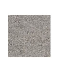 Arpa Limestone 15x15cm Grijs mat (Vloertegel) (Lmst.D.Grey Rt)