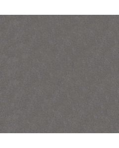 AWS Basis 3 20x20cm Anthraciet Mat (620249-072-10)