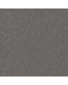 AWS Basis 3 20x20cm Anthraciet Mat (620450-072-11)