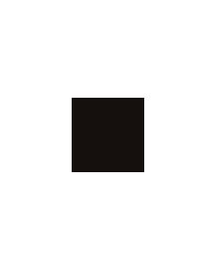 AWS Plural 19,7x19,7cm Zwart (220-1111H)