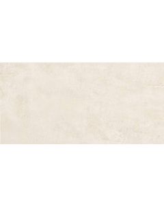 Century Titan 60x120cm Grijs Mat (0106629)
