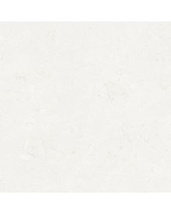Cifre Ceramica Ember Wit 60x60cm (Ember Almond)