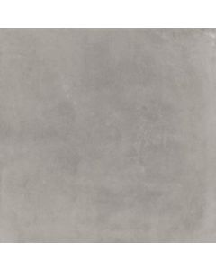 Flaminia Space 60x60cm Grijs Mat (FLSPACEASH)