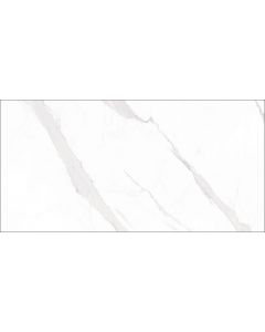 Geo Tiles Statuary 60x120cm Wit Mat (0178690127960)
