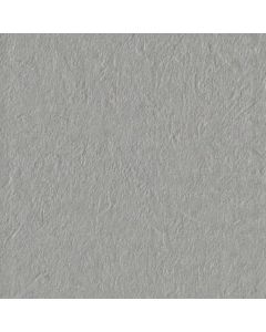 Gigacer Argilla 120x120cm Grijs Mat (6ARGILLA120DRY)