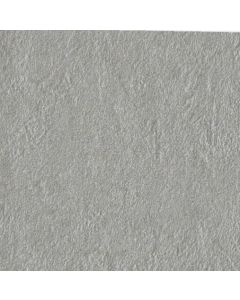 Gigacer Argilla 60x60cm Grijs Mat (6ARGILLA60DRY)