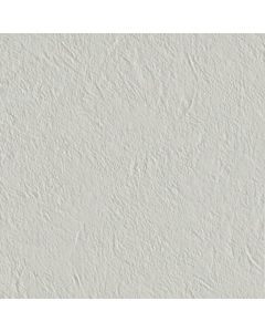 Gigacer Argilla 120x120cm Grijs Mat (6ARGILLA120VETIVER)