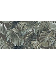 Garden Areca Dark Mate 60x120