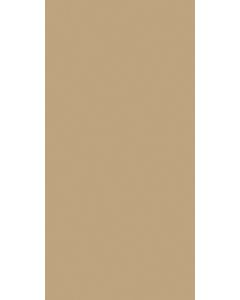 Pavigres 21 Uni Bronze Matte Rectified PGV669RT 59,7X119 9.2mm