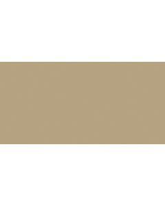Pavigres 21 Uni Bronze Matte Rectified R10 B PGK669RT 59,7X119 10.5mm